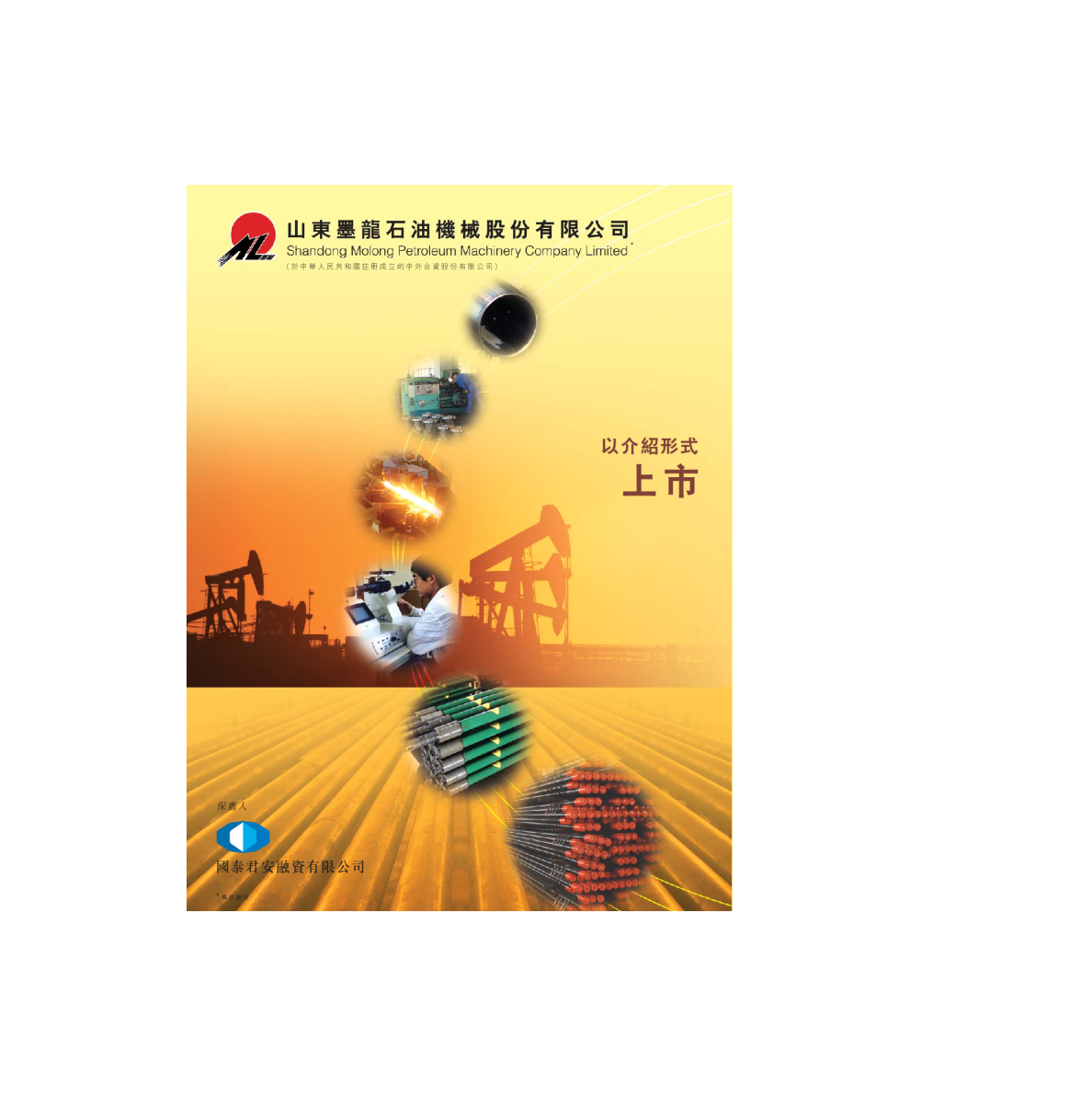 山東墨龍招股说明书