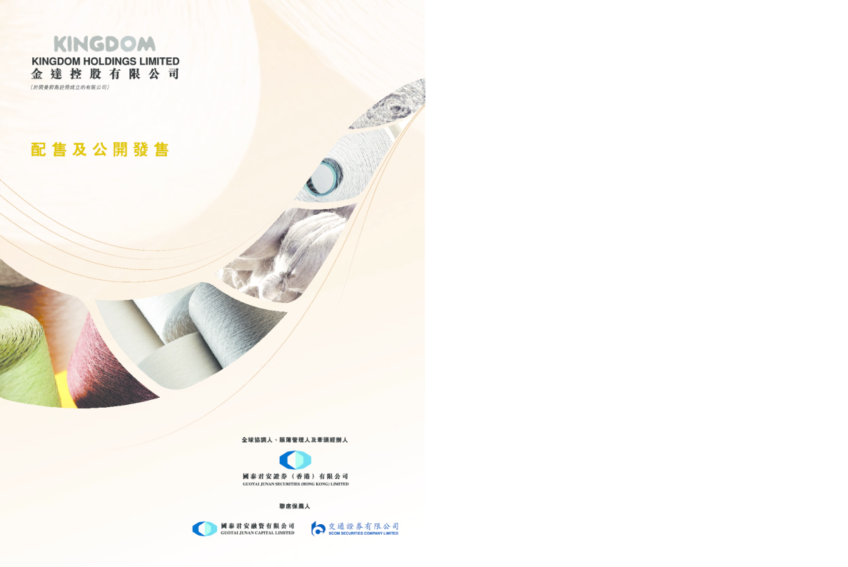 金達控股招股说明书