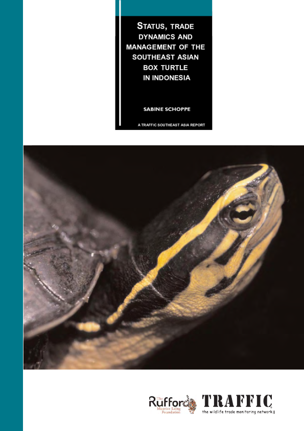 Status, trade dynamics and management of the Southeast Asian Box Turtle in Indonesia