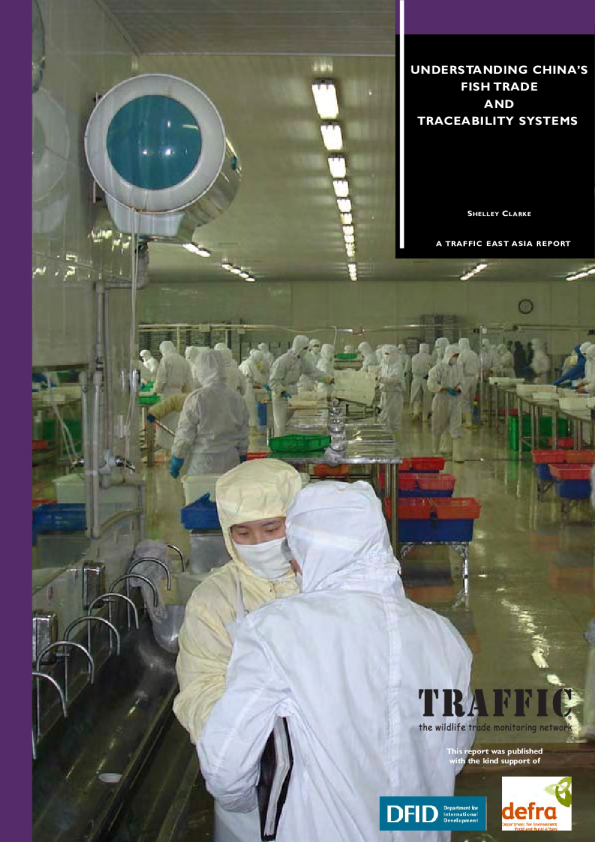 Understanding China’s fish trade and traceability