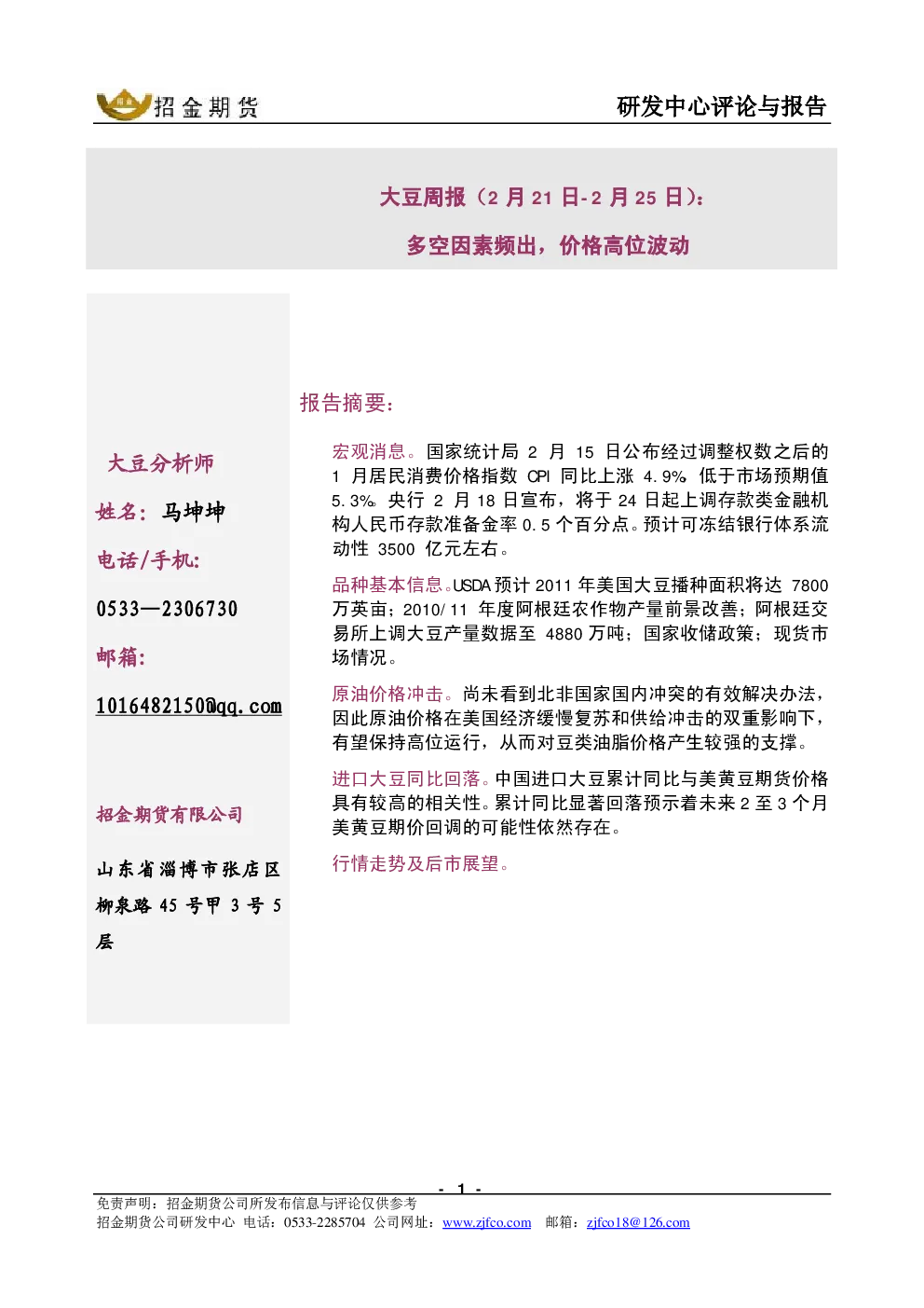 报告封面