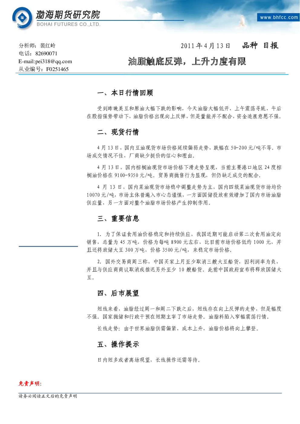 报告封面