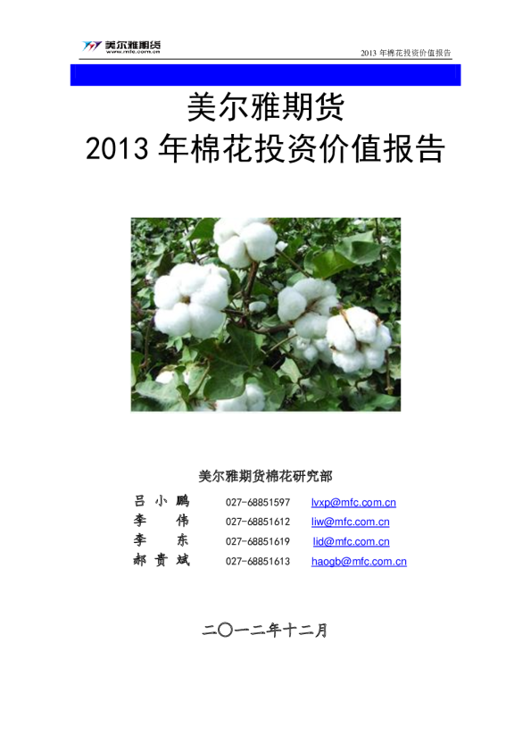 2013年棉花投资价值报告