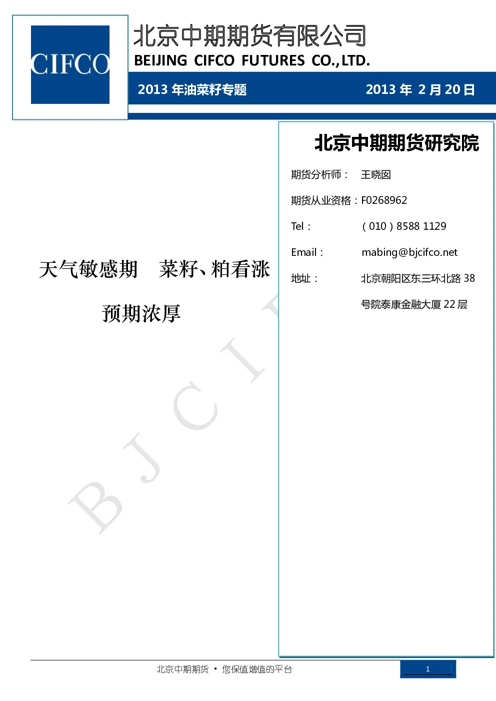 报告封面