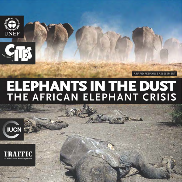 尘土中的大象——非洲象危机