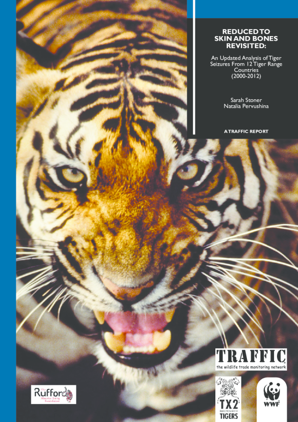 《瘦骨嶙峋重探》