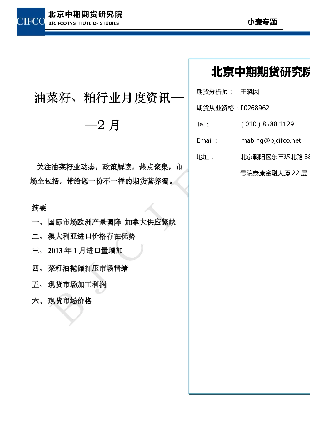 报告封面