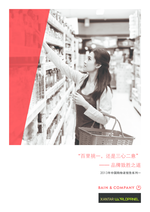 2013年中国购物者报告，系列一