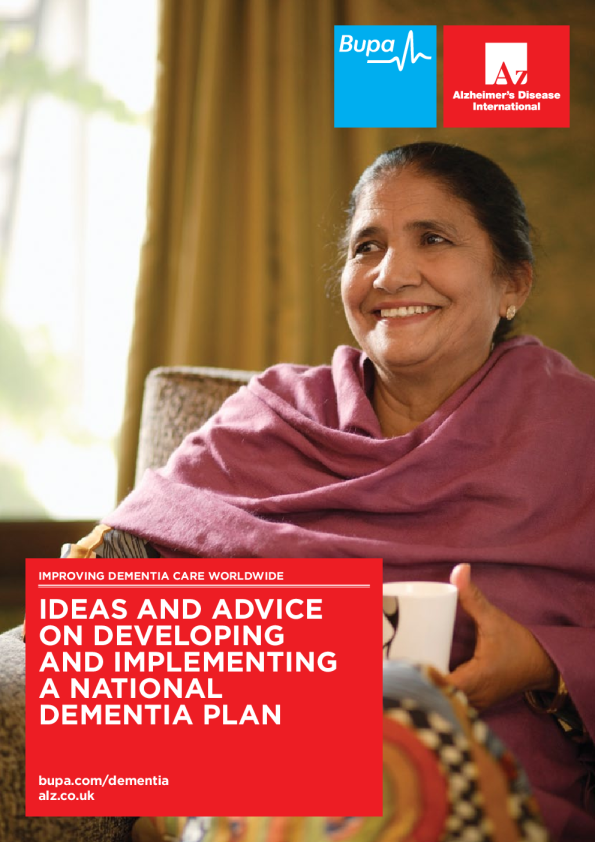 关于制定和实施国家痴呆症计划的建议和意见