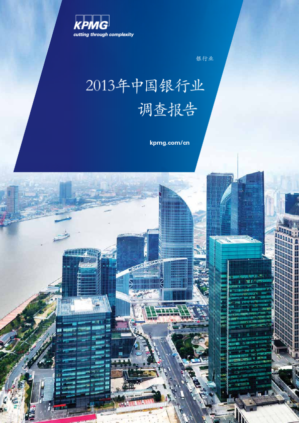 2013年中国银行业调查报告