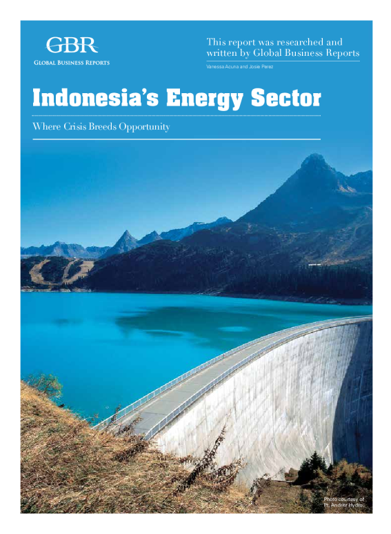 印尼电力2014年电力发布