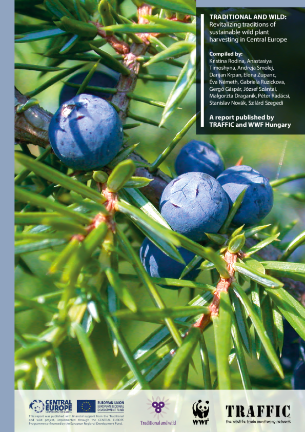 传统与狂野：中央欧洲可持续野生植物采集传统的复兴