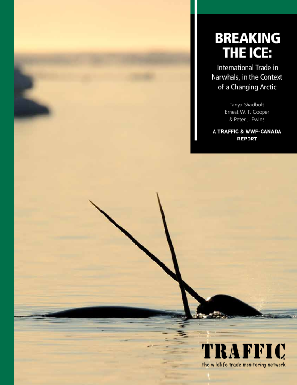Breaking the Ice: International trade in Narwhals, in the context of a changing Arctic