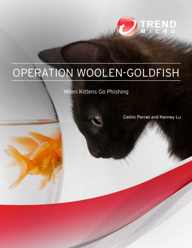 Rocket Kitten Showing Its Claws: Operation Woolen-GoldFish and the GHOLE campaign