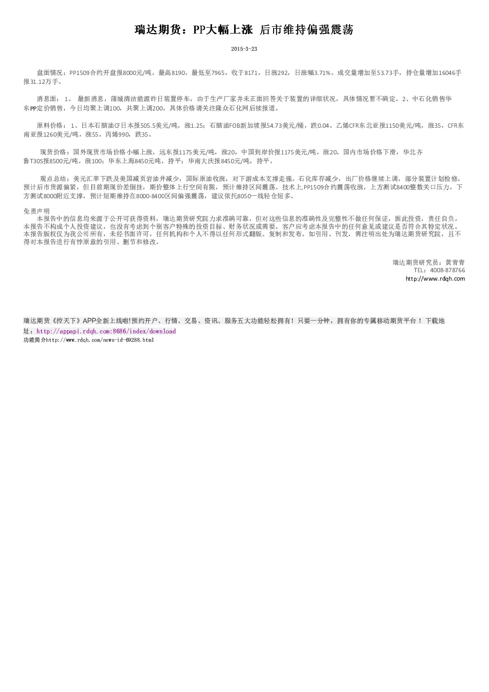报告封面