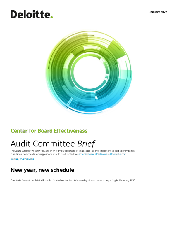 Audit Committee Brief