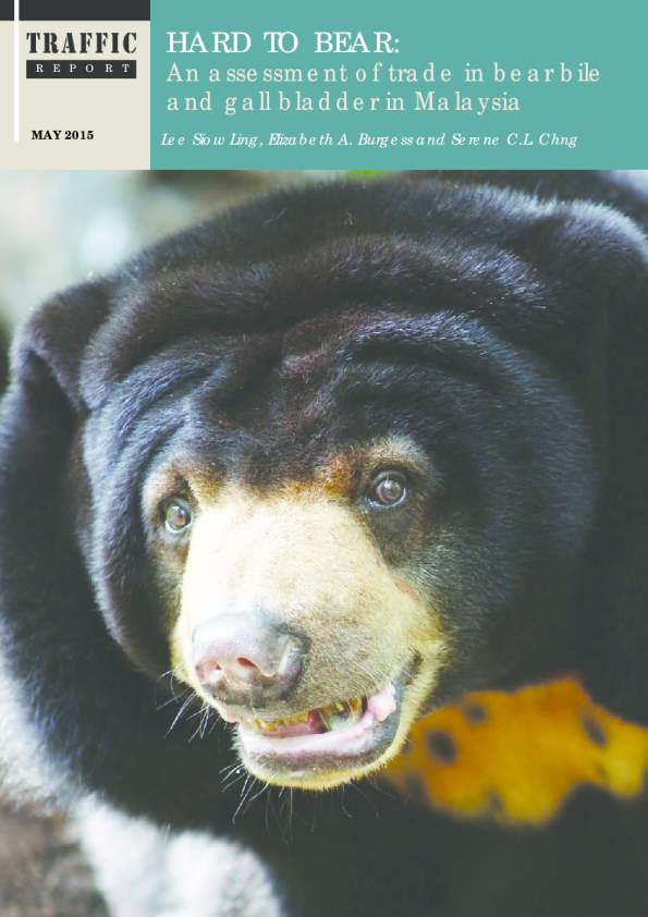 难以承受：马来西亚的熊胆和胆囊贸易