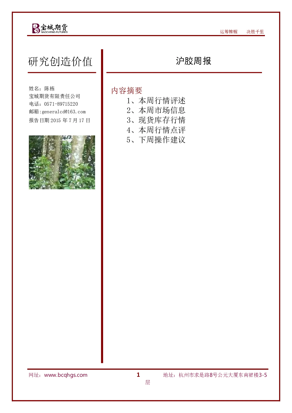 报告封面