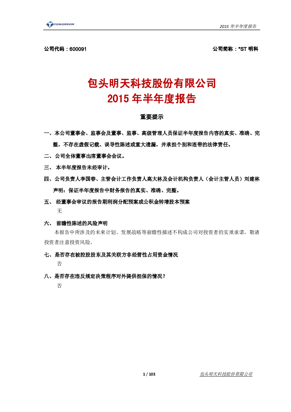 报告封面