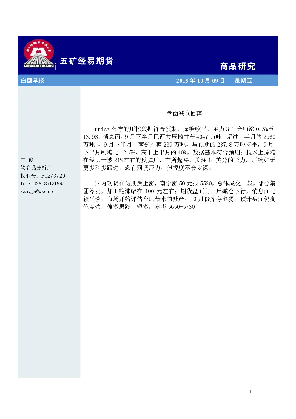 报告封面