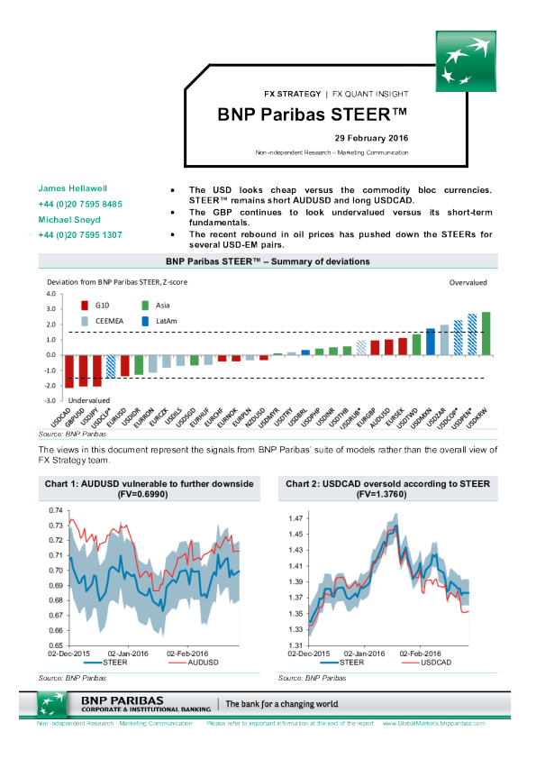 法国巴黎银行（BNP Paribas STEER）？