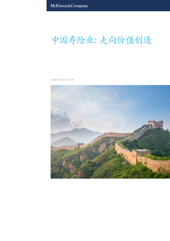 中国寿险业：走向价值创造