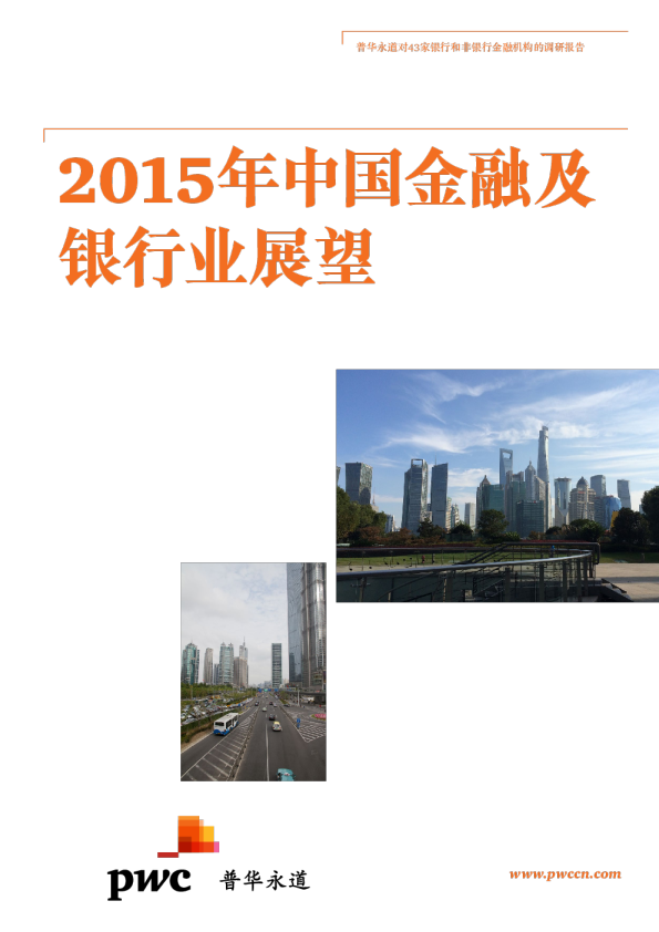 2015年中国金融及银行业展望