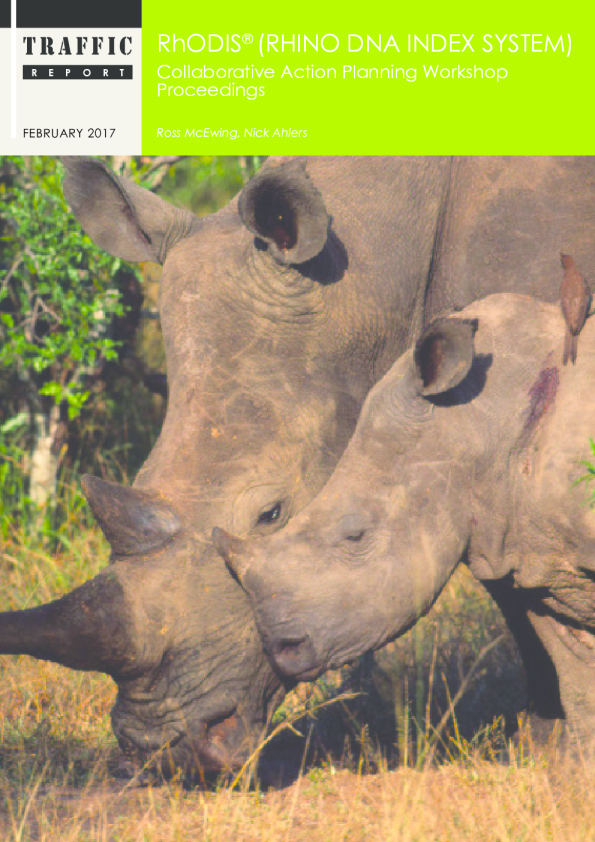 RhODIS Collaborative action planning workshop proceedings