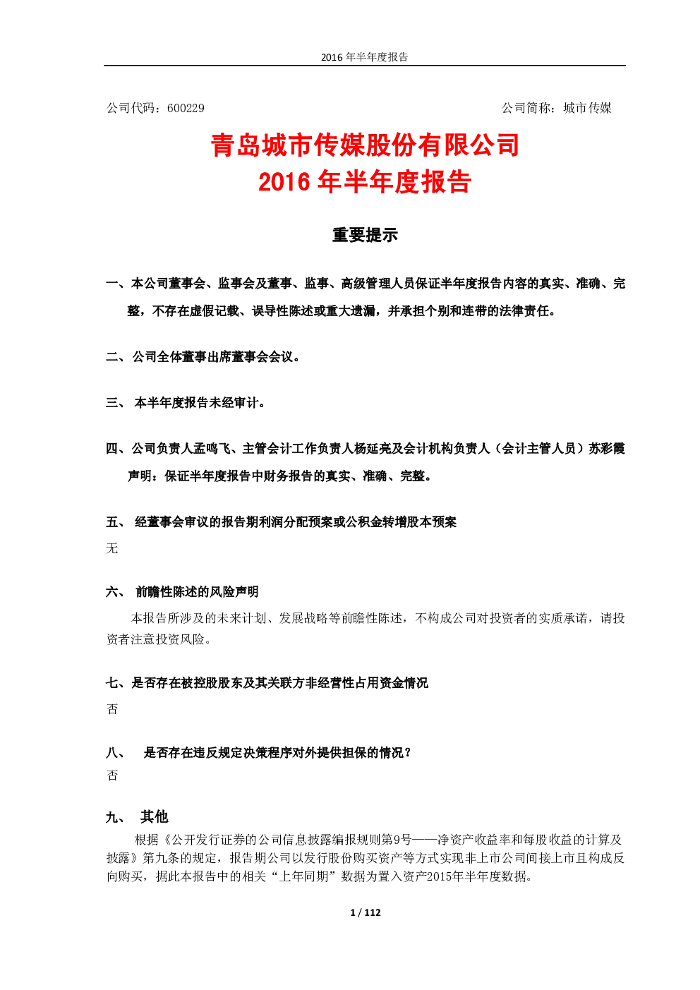 报告封面