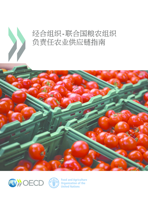 负责任农业供应链指南