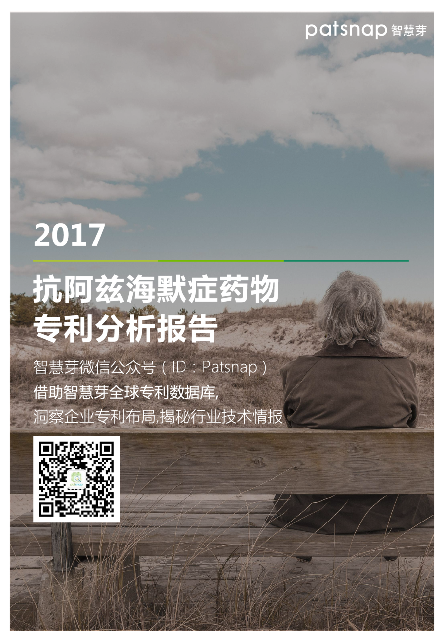 抗阿兹海默症药物专利分析报告