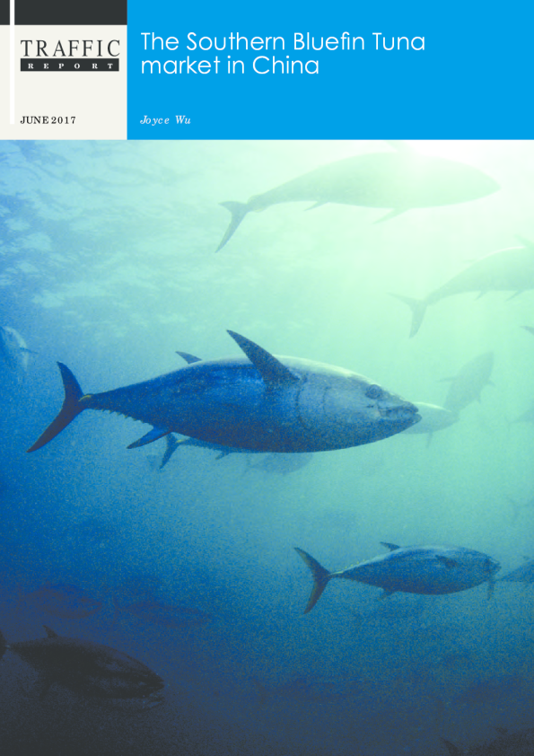 Southern Bluefin Tuna market in China