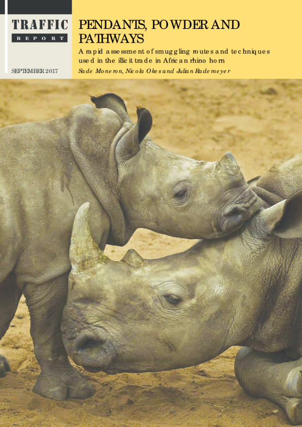 Pendants, Powder and Pathways: smuggling routes and techniques in the illicit trade in African rhino horn