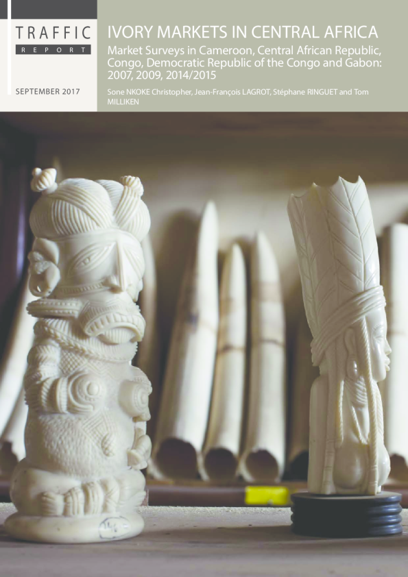 Ivory markets in Central Africa