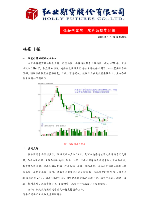 鸡蛋日报