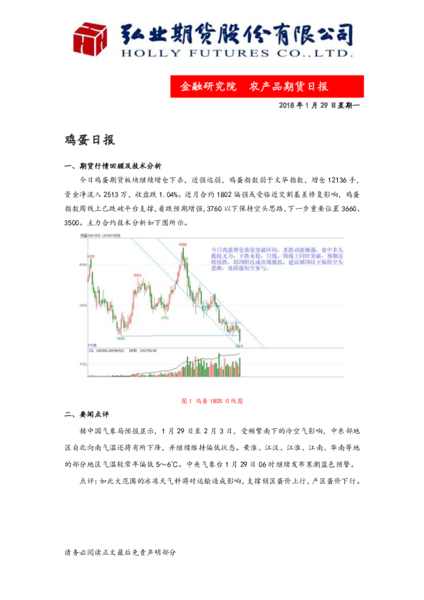 鸡蛋日报