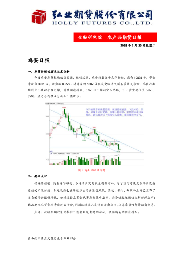 鸡蛋日报