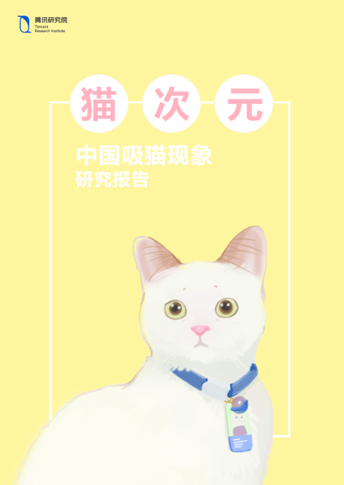 中国吸猫现象研究报告
