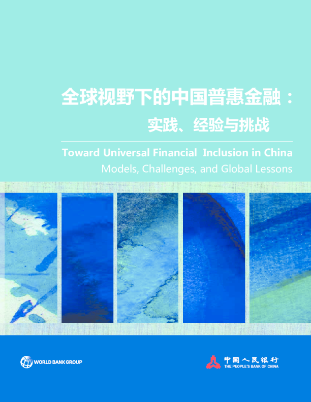 全球视野下的中国普惠金融：实践、经验与挑战