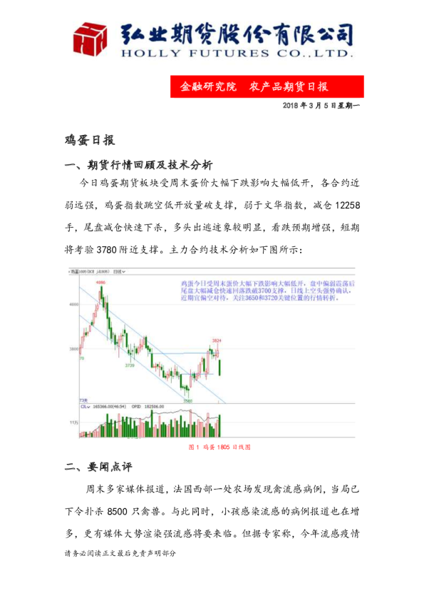 鸡蛋日报