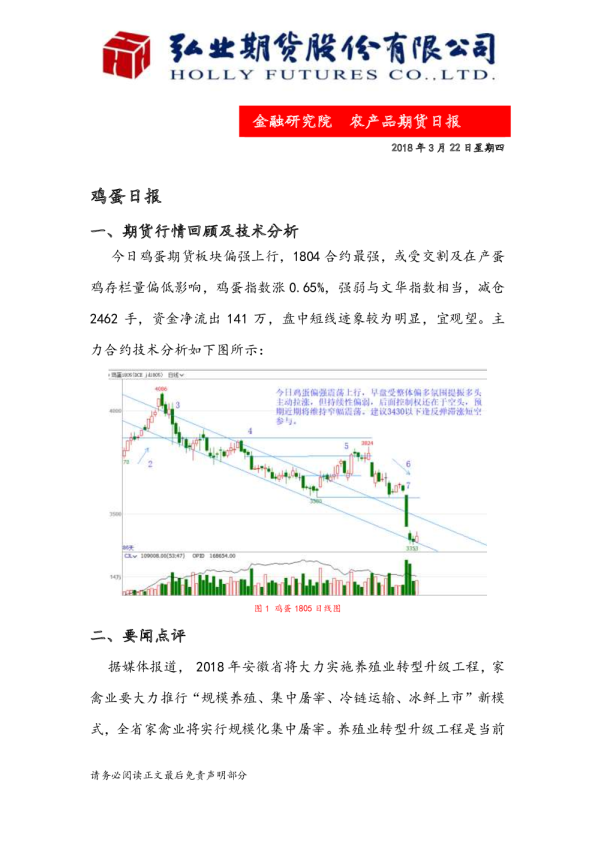 鸡蛋日报