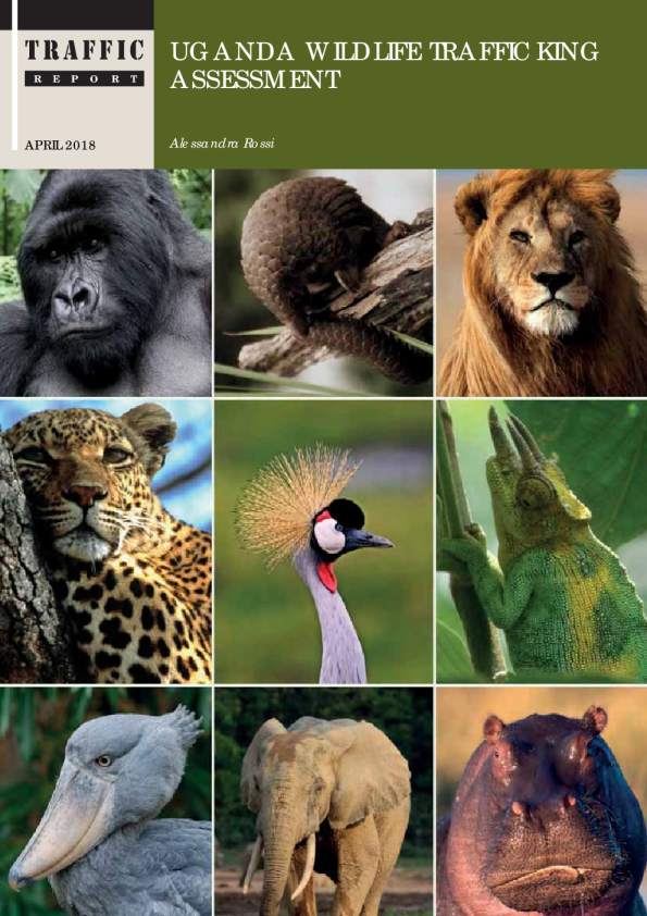 Uganda Wildlife Trafficking Assessment