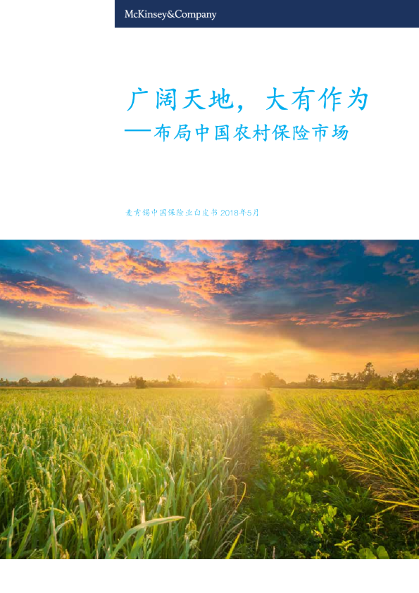 《广阔天地，大有作为——布局中国农村保险市场》报告