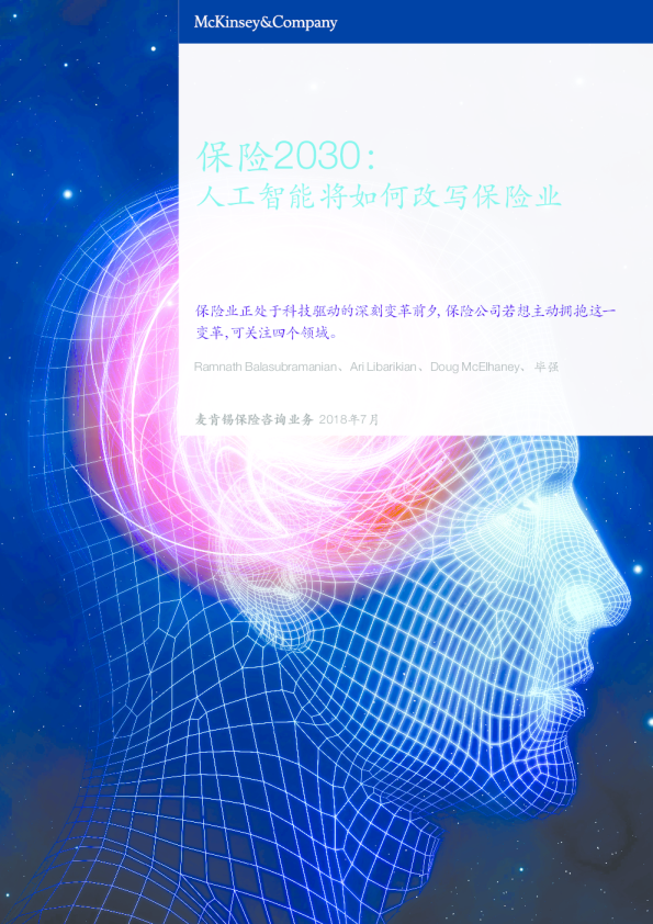 保险2030：人工智能将如何改写保险业