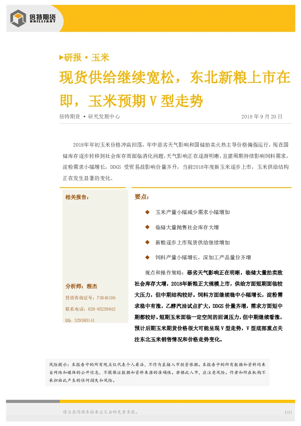 报告封面