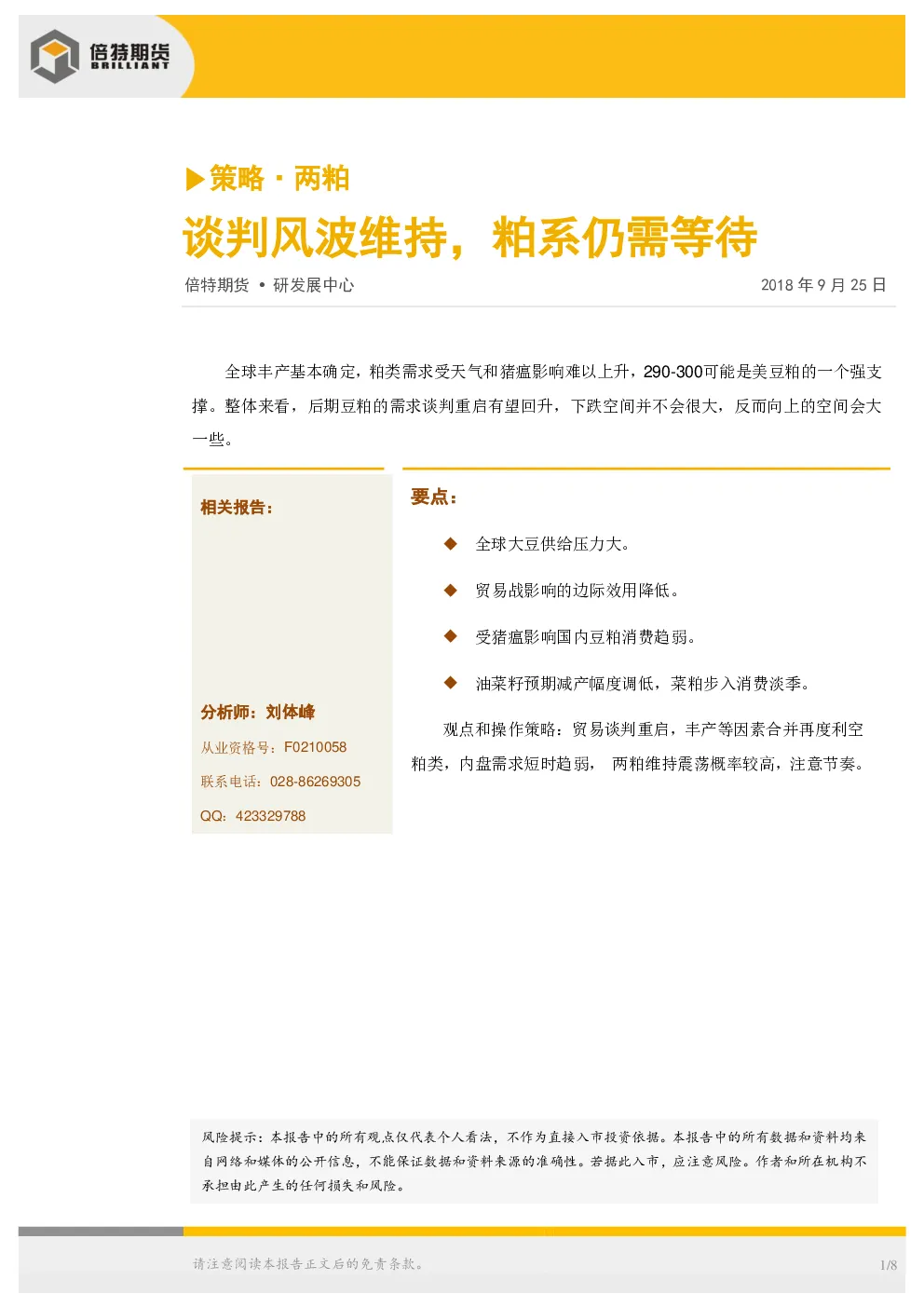 报告封面