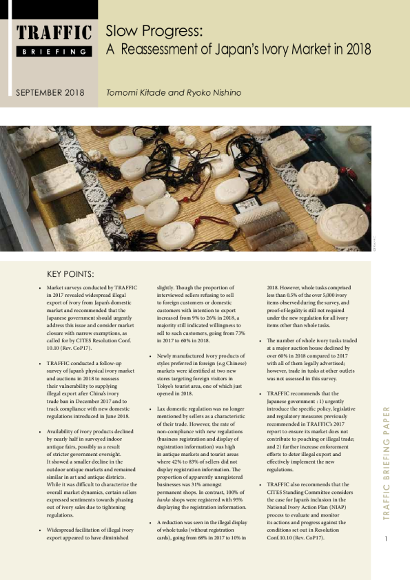 Too few commitments and little progress in addressing Japan’s domestic ivory market