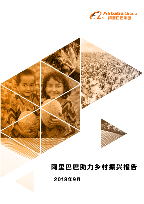 阿里巴巴助力乡村振兴报告