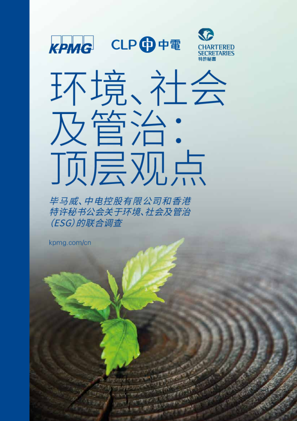 环境、社会及管治：顶层观点