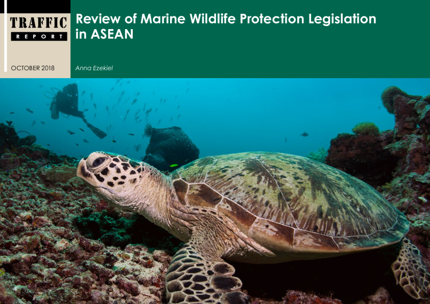 Review of Marine Wildlife Protection Legislation in ASEAN